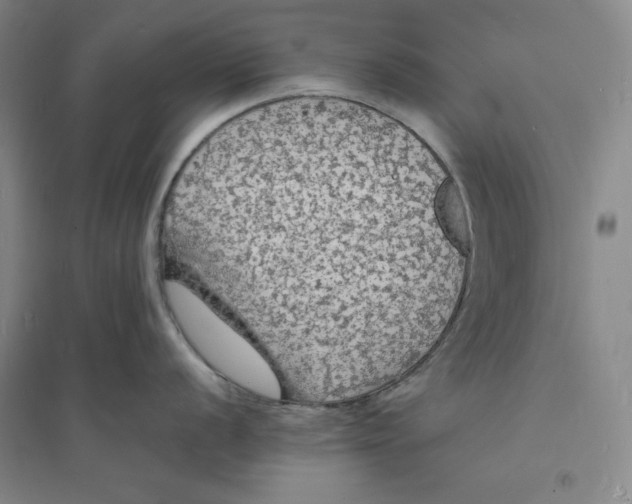 X0000094061056200711091124