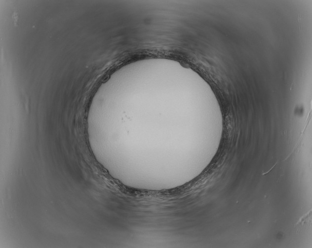 X0000094061057200711091123