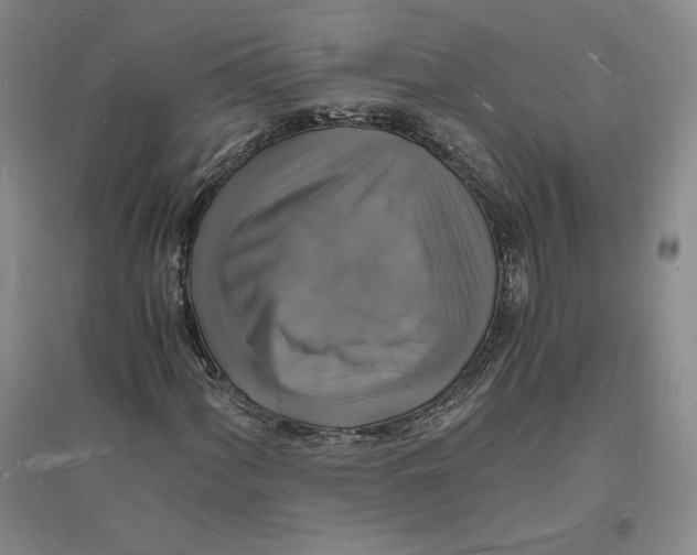 X0000094061060200711091123