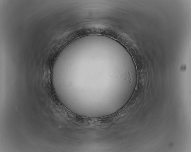 X0000094061061200711091123
