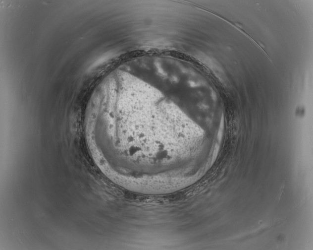 X0000094061063200711091123