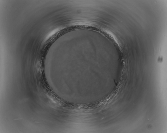 X0000094061064200711091123