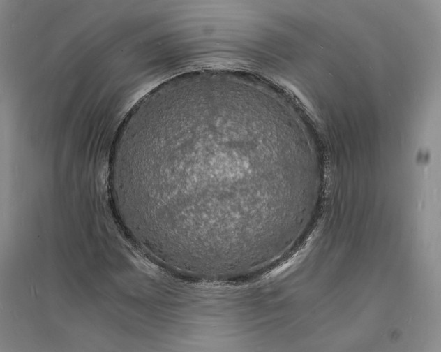 X0000094061065200711091123