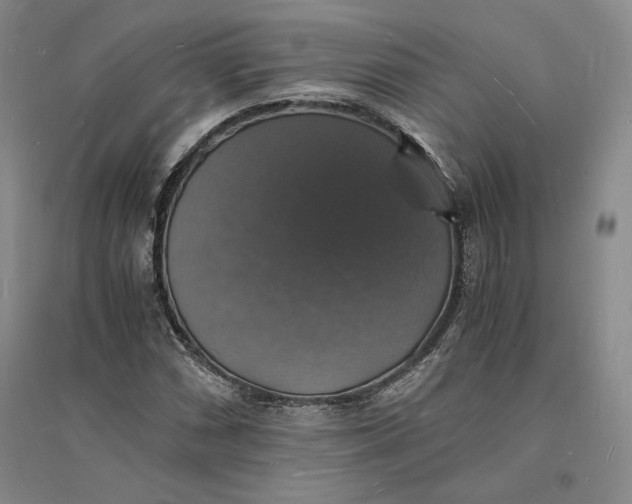 X0000094061066200711091123