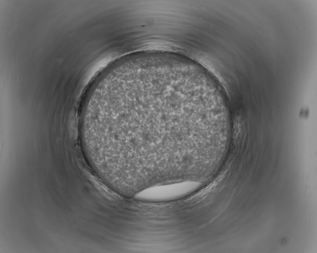 X0000094061067200711091123