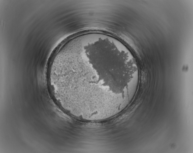X0000094061068200711091123