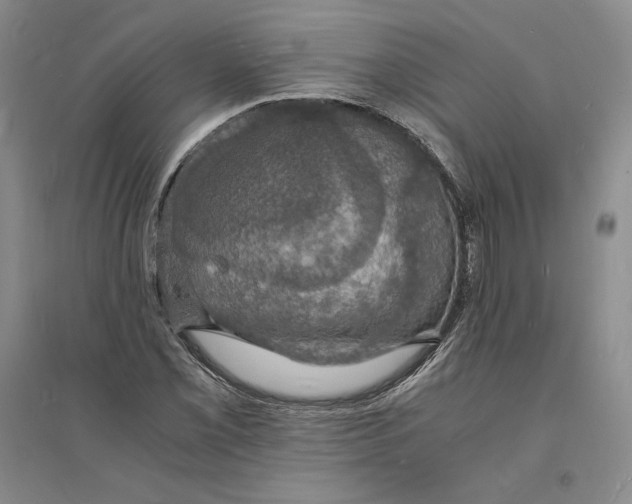 X0000094061069200711091123