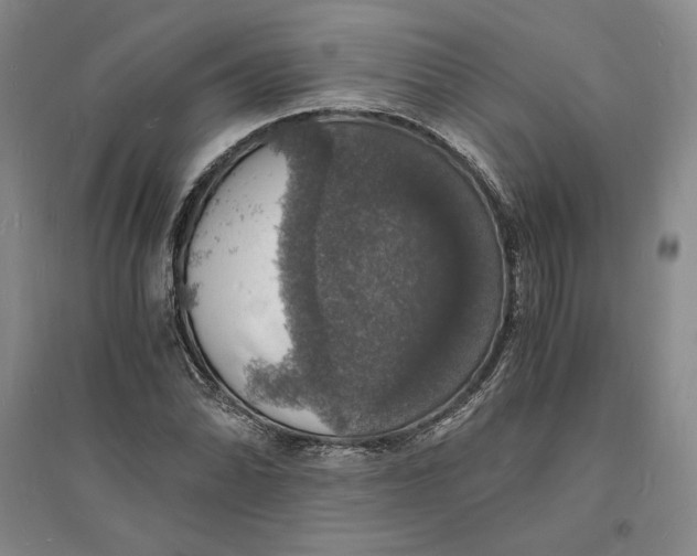 X0000094061070200711091123