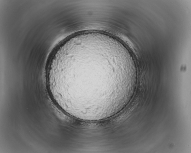 X0000094061072200711091123