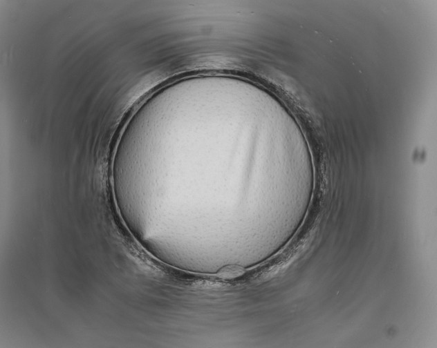 X0000094061073200711091123