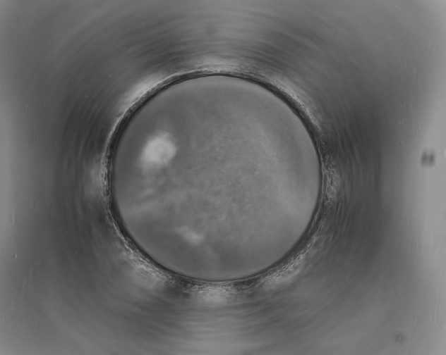 X0000094061074200711091123