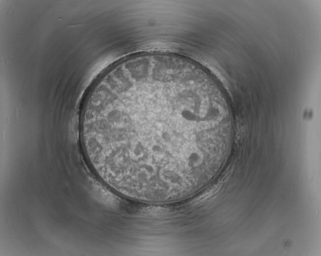 X0000094061075200711091123