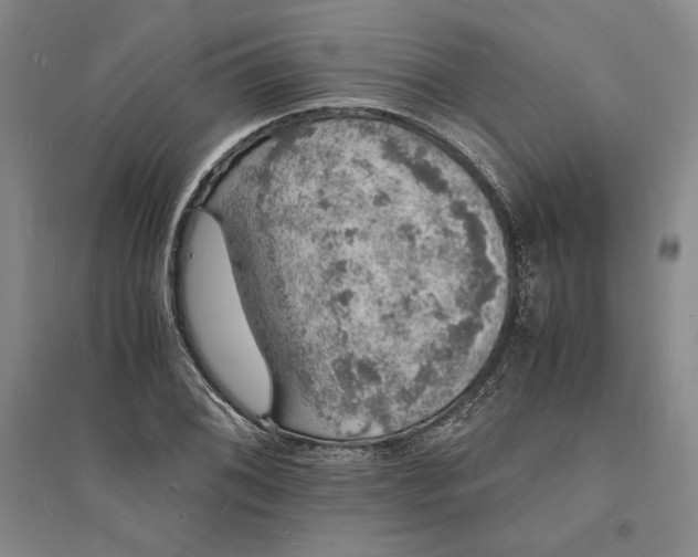 X0000094061076200711091123