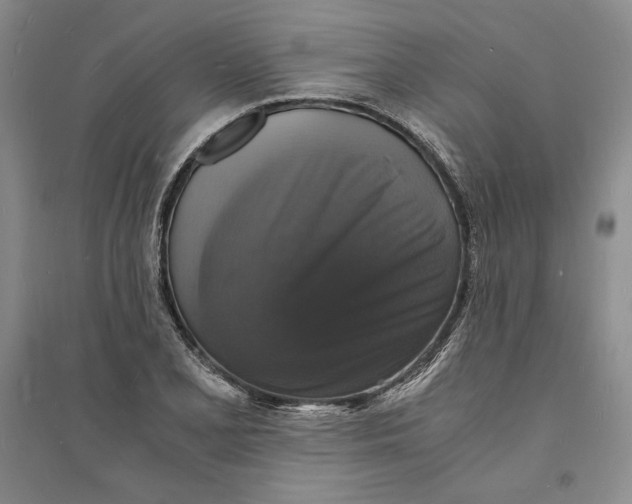 X0000094061077200711091123