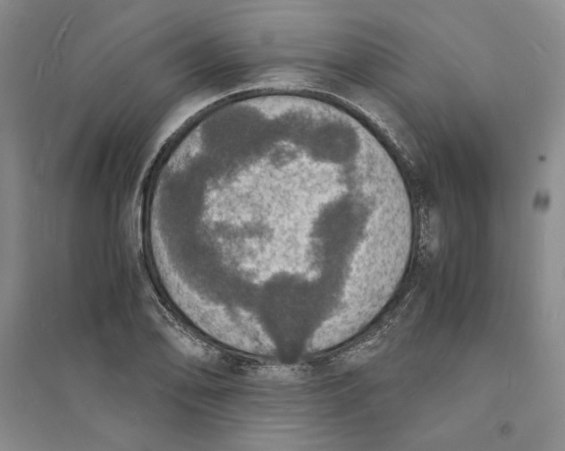 X0000094061078200711091123