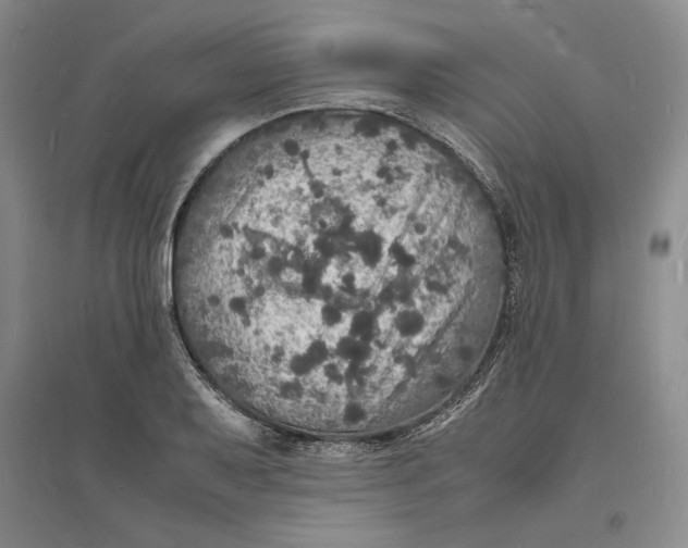 X0000094061079200711091123