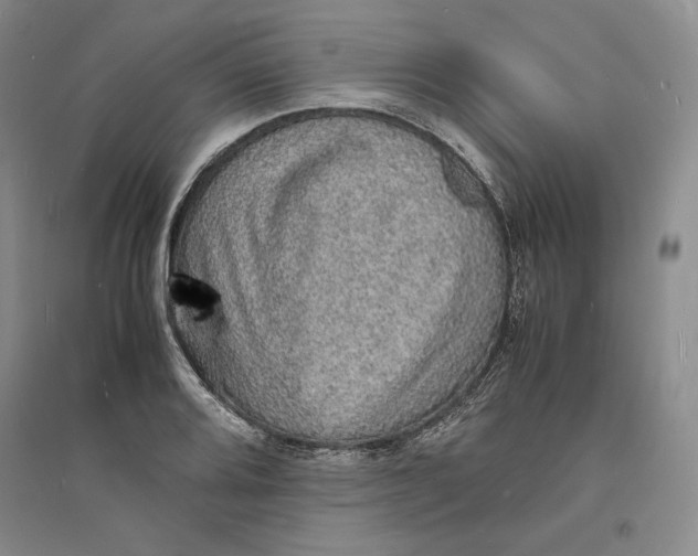 X0000094061080200711091123