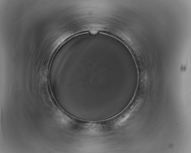 X0000094061081200711091123