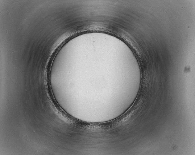 X0000094061082200711091123