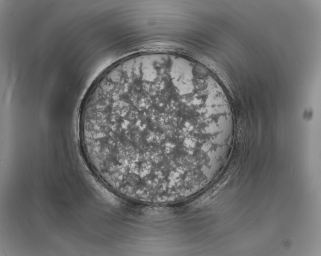 X0000094061083200711091123