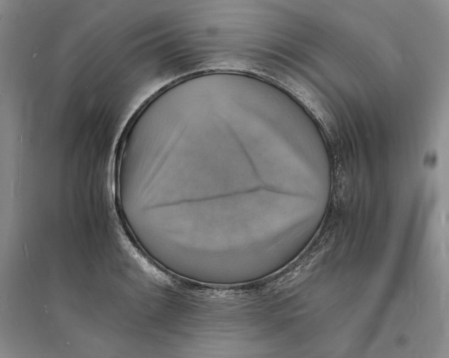 X0000094061084200711091123