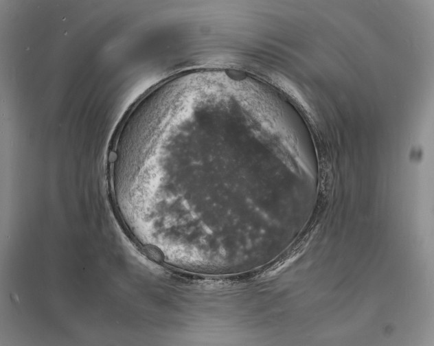 X0000094061087200711091123