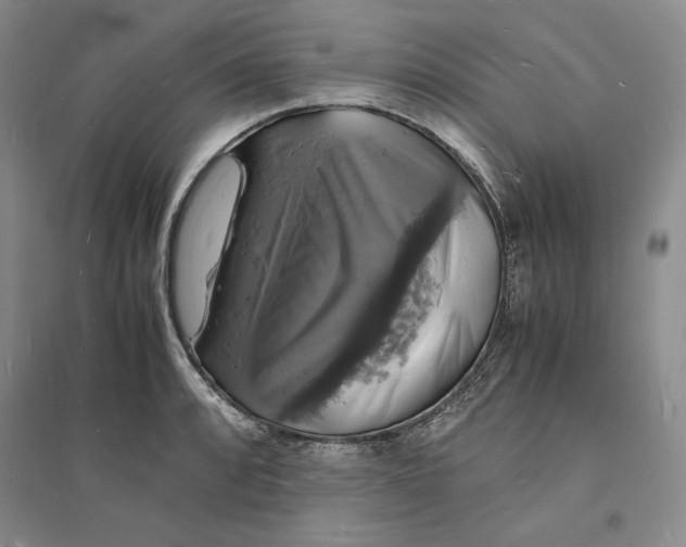 X0000094061088200711091123