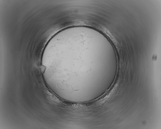 X0000094061089200711091122