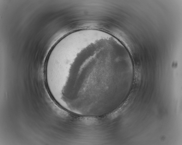 X0000094061090200711091122