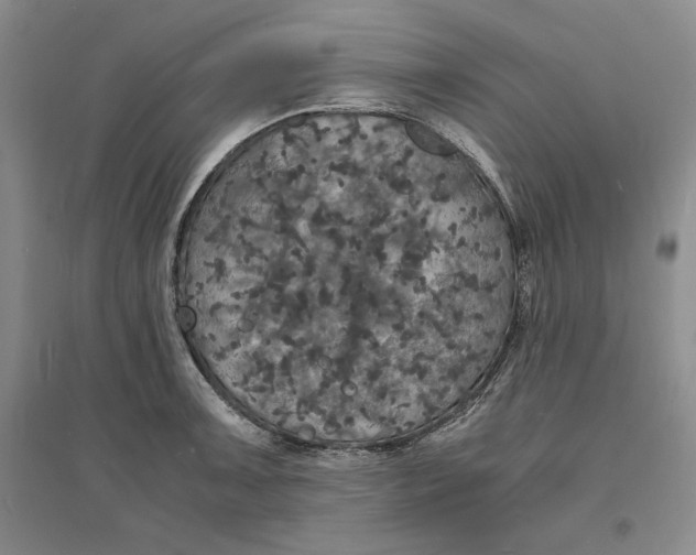 X0000094061091200711091122