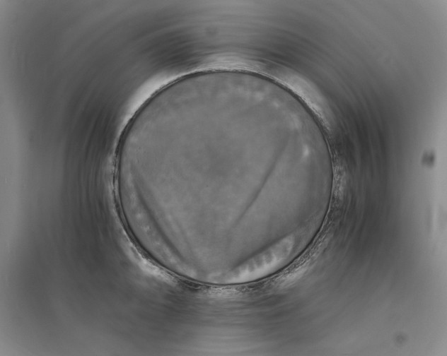 X0000094061094200711091122