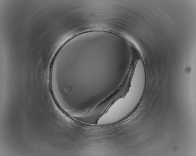X0000094061095200711091122