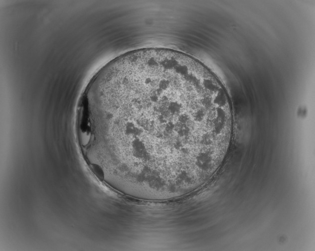 X0000094061096200711091122