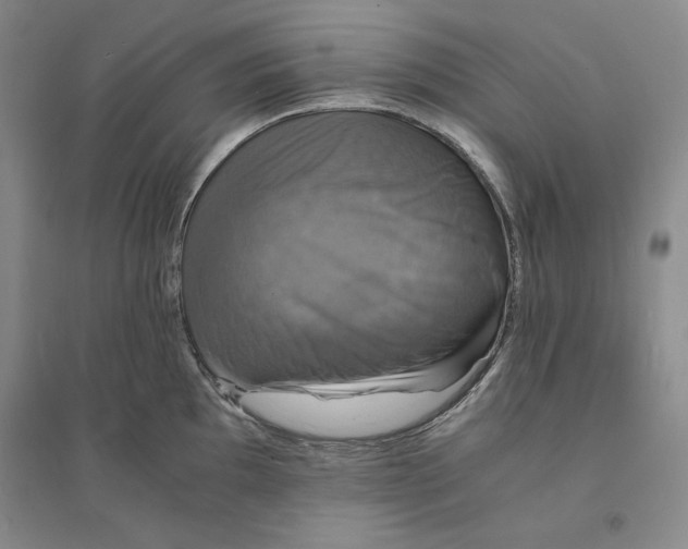 X0000094061097200711091122