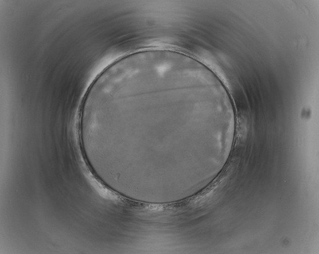 X0000094061098200711091122
