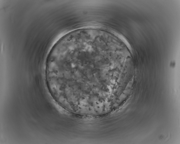 X0000094061099200711091122