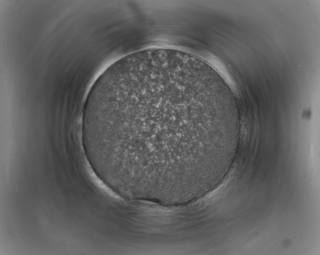 X0000094061100200711091122
