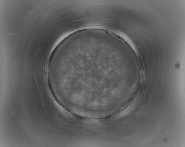 X0000094061101200711091122