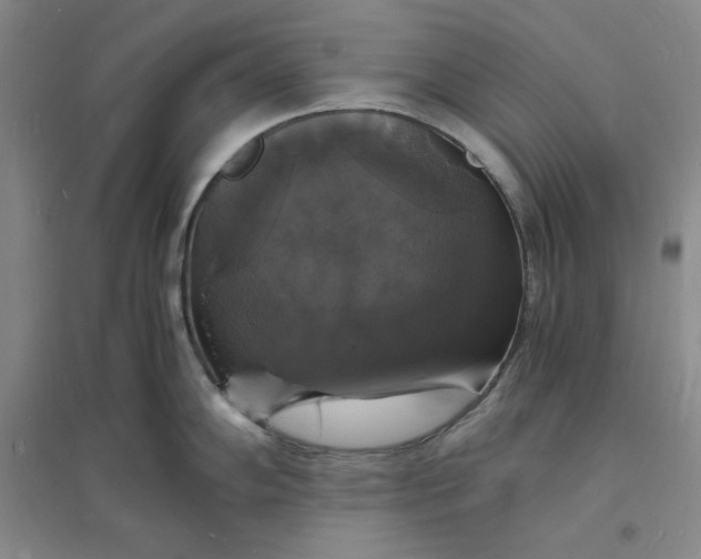 X0000094061102200711091122