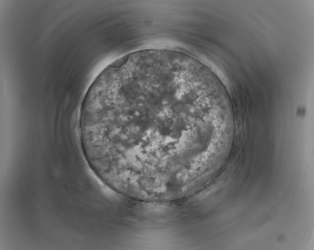 X0000094061103200711091122
