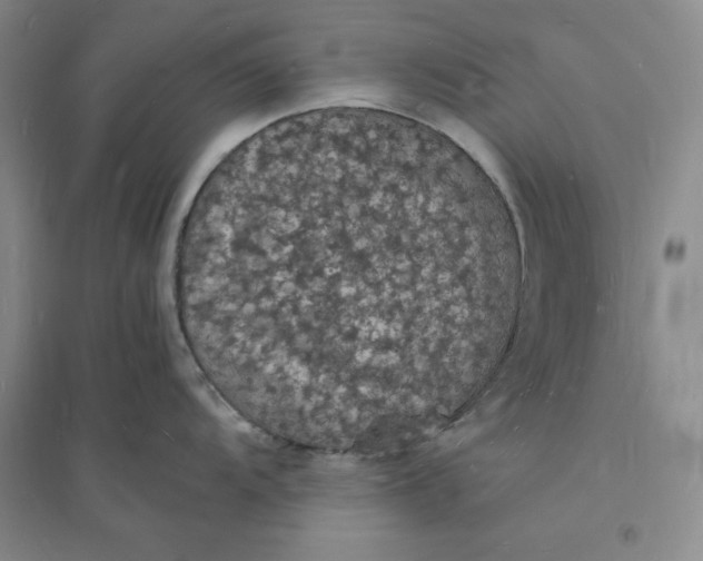 X0000094061104200711091122