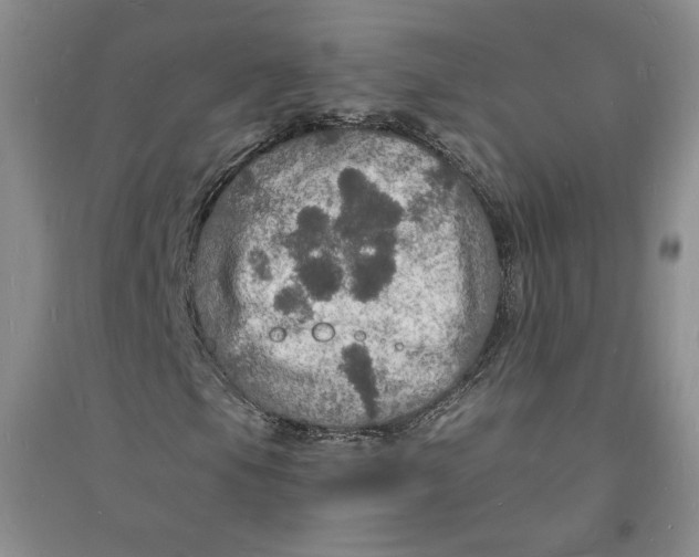 X0000094061105200711091122