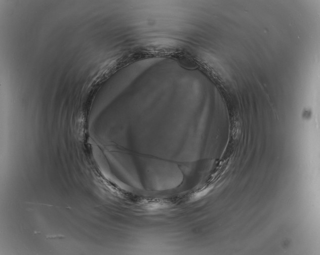 X0000094061108200711091122
