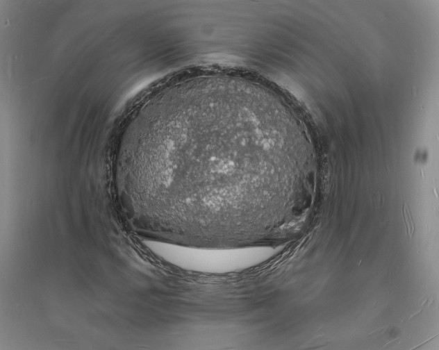 X0000094061112200711091122