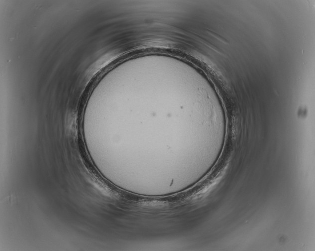 X0000094061113200711091122
