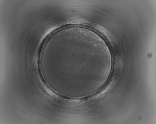 X0000094061114200711091122