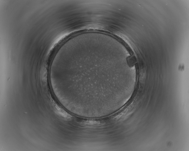 X0000094061115200711091122