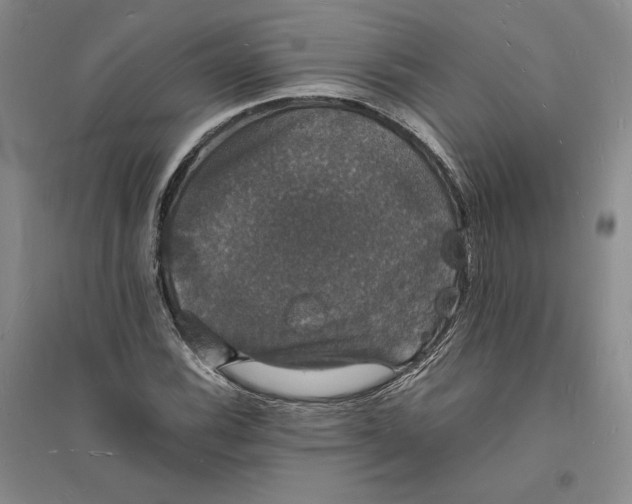 X0000094061116200711091122