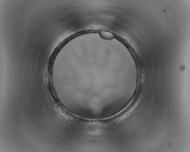 X0000094061117200711091122