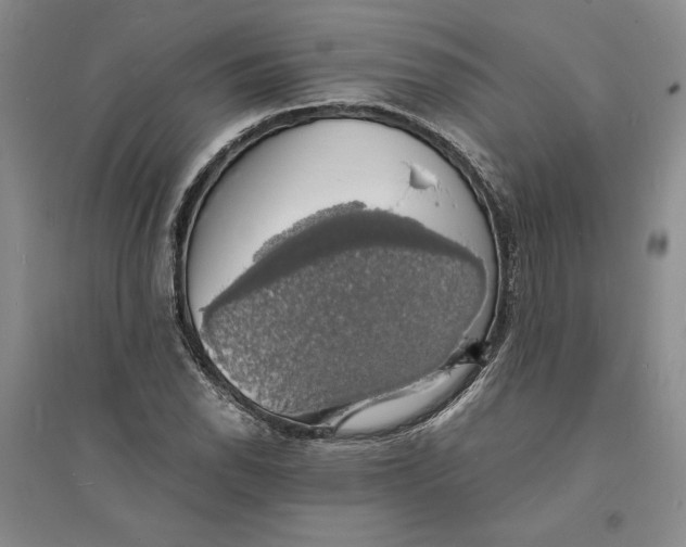 X0000094061118200711091122
